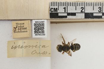 Media type: image;   Entomology 791150 Aspect: Labels